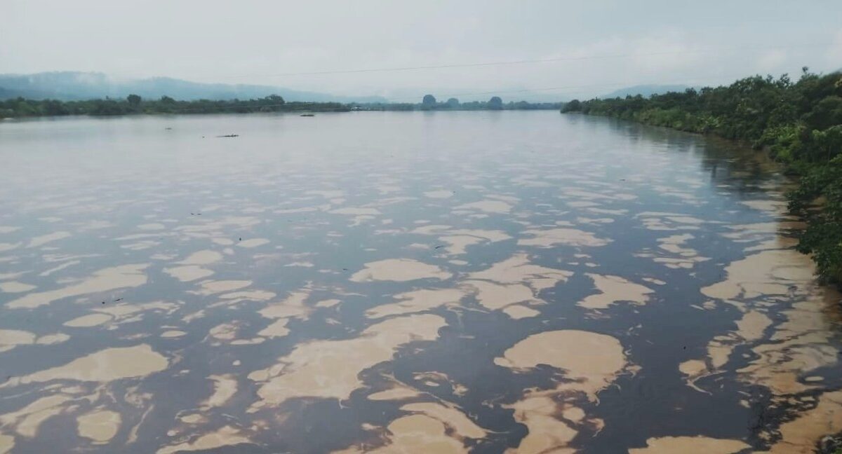 Esmeraldas oil spill in Ecuador devastates rivers and wildlife refuge