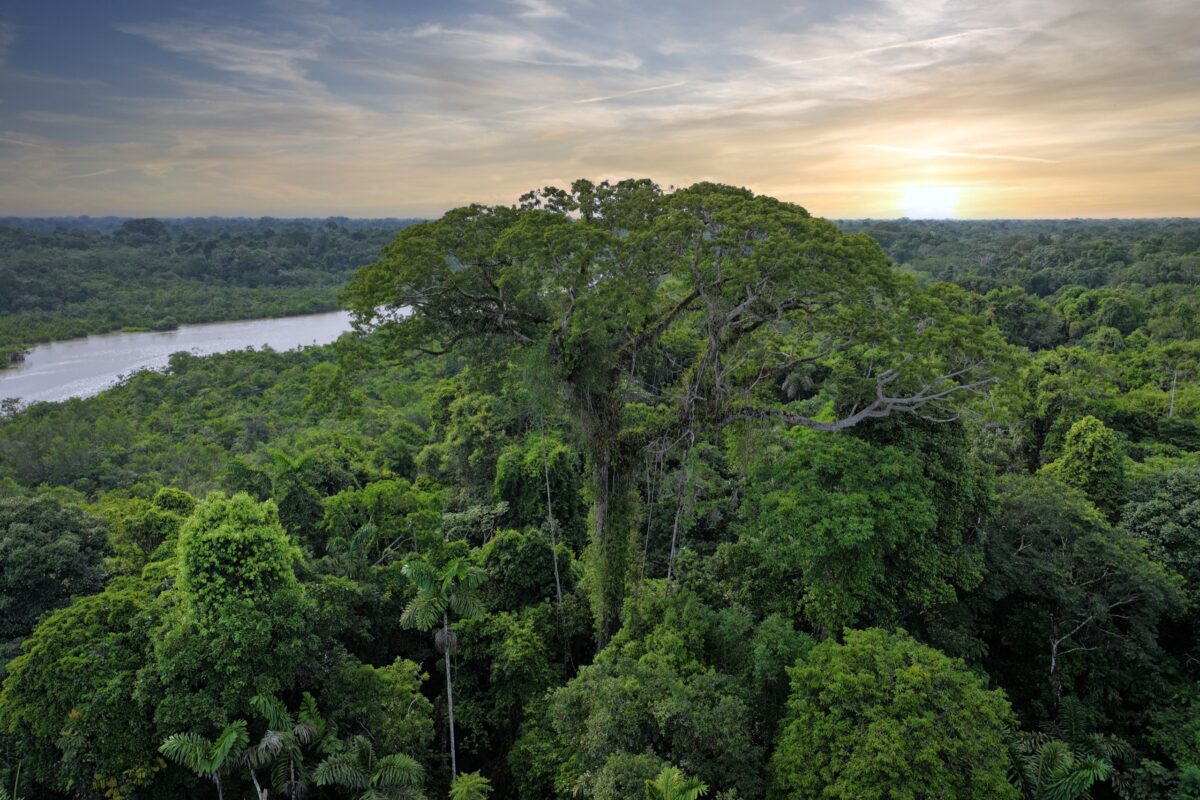 Ecuador&rsquo;s next debt-for-nature deal falls short of Indigenous involvement
